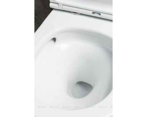 Чаша подвесного унитаза Allen Brau Priority Tornado 4.31008.20 белый глянец