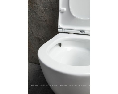 Чаша подвесного унитаза Allen Brau Priority Tornado 4.31008.20 белый глянец