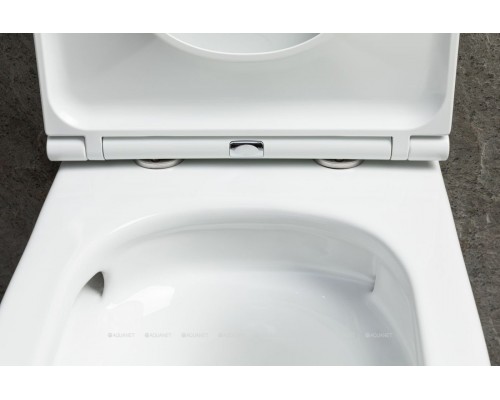 Чаша подвесного унитаза Allen Brau Priority Tornado 4.31008.20 белый глянец