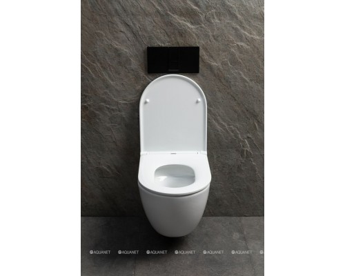 Чаша подвесного унитаза Allen Brau Priority Tornado 4.31008.20 белый глянец