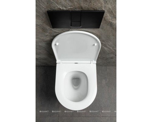 Унитаз подвесной Allen Brau Priority Tornado 4.31009.20 белый глянец