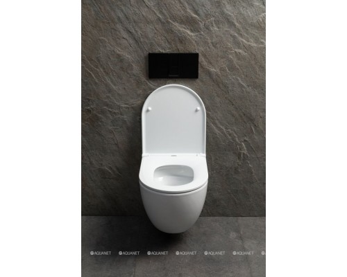 Унитаз подвесной Allen Brau Priority Tornado 4.31009.20 белый глянец