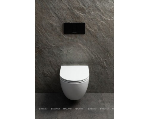 Унитаз подвесной Allen Brau Priority Tornado 4.31009.20 белый глянец