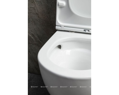 Унитаз подвесной Allen Brau Priority Tornado 4.31009.20 белый глянец