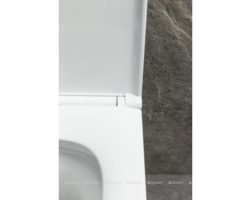 Унитаз подвесной Allen Brau Priority Tornado 4.31009.20 белый глянец