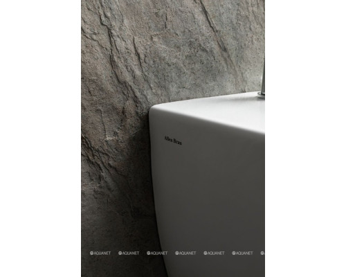 Биде подвесное Allen Brau Priority 4.31012.20 белый глянец