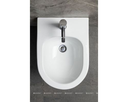 Биде подвесное Allen Brau Priority 4.31012.20 белый глянец