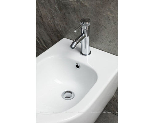 Биде подвесное Allen Brau Priority 4.31012.20 белый глянец