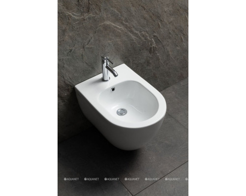 Биде подвесное Allen Brau Priority 4.31012.20 белый глянец