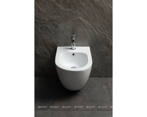 Биде подвесное Allen Brau Priority 4.31012.20 белый глянец