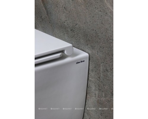 Унитаз подвесной Allen Brau Liberty 3 Tornado 4.33011.20 белый