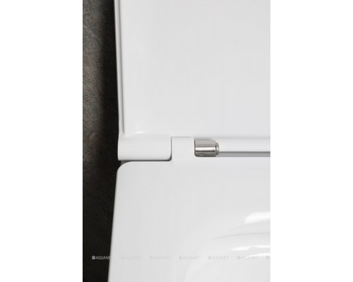 Унитаз подвесной Allen Brau Liberty 3 Tornado 4.33011.20 белый