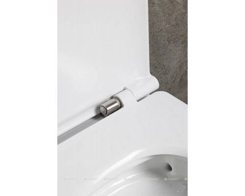 Унитаз подвесной Allen Brau Liberty 3 Tornado 4.33011.20 белый