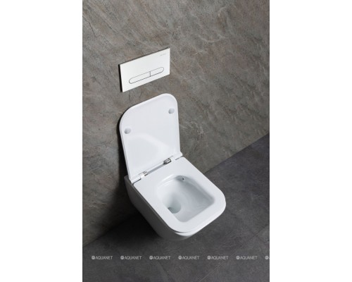 Унитаз подвесной Allen Brau Liberty 3 Tornado 4.33011.20 белый