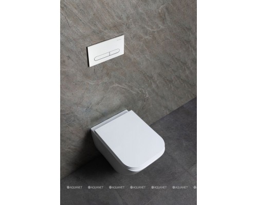 Унитаз подвесной Allen Brau Liberty 3 Tornado 4.33011.20 белый