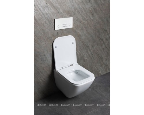 Унитаз подвесной Allen Brau Liberty 3 Tornado 4.33011.20 белый