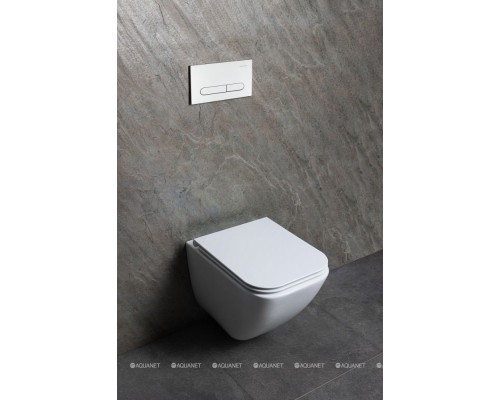 Унитаз подвесной Allen Brau Liberty 3 Tornado 4.33011.20 белый