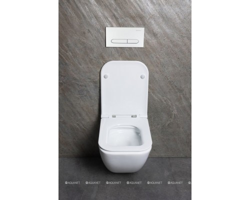 Унитаз подвесной Allen Brau Liberty 3 Tornado 4.33011.20 белый