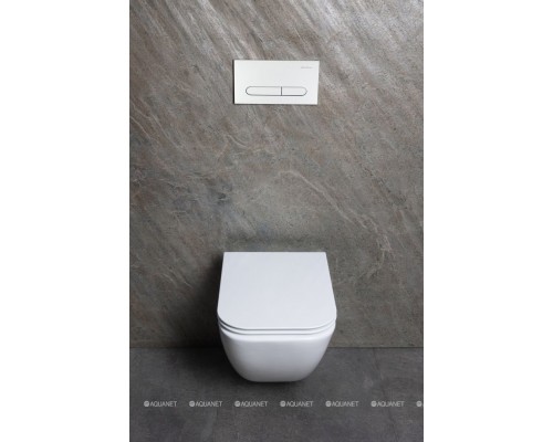 Унитаз подвесной Allen Brau Liberty 3 Tornado 4.33011.20 белый