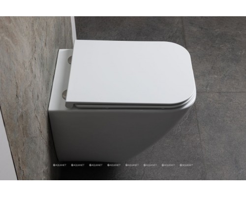 Унитаз подвесной Allen Brau Liberty 3 Tornado 4.33011.20 белый