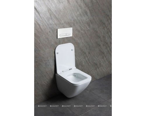 Унитаз подвесной Allen Brau Liberty 4.33012.20 белый