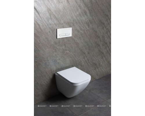 Унитаз подвесной Allen Brau Liberty 4.33012.20 белый