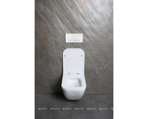 Унитаз подвесной Allen Brau Liberty 4.33012.20 белый