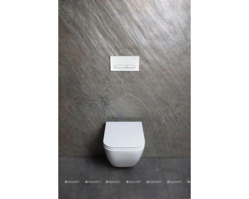 Унитаз подвесной Allen Brau Liberty 4.33012.20 белый