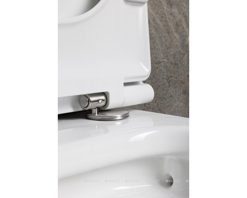 Унитаз подвесной Allen Brau Liberty 4.33012.20 белый