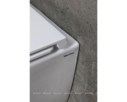 Унитаз подвесной Allen Brau Liberty 4.33012.20 белый