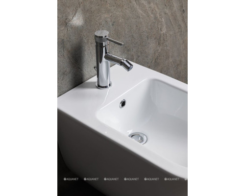 Биде подвесное Allen Brau Liberty 4.33016.20 белый