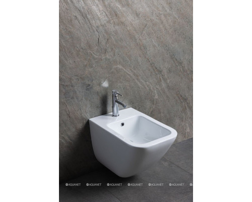 Биде подвесное Allen Brau Liberty 4.33016.20 белый