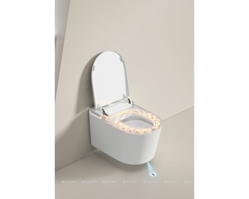 Унитаз подвесной Allen Brau Smart 4.I1001.20 белый, с функцией биде