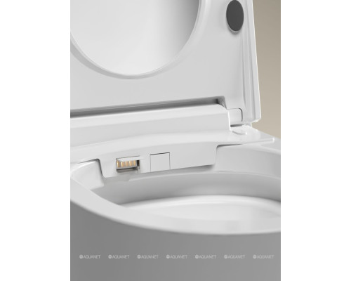 Унитаз подвесной Allen Brau Smart 4.I1001.20 белый, с функцией биде