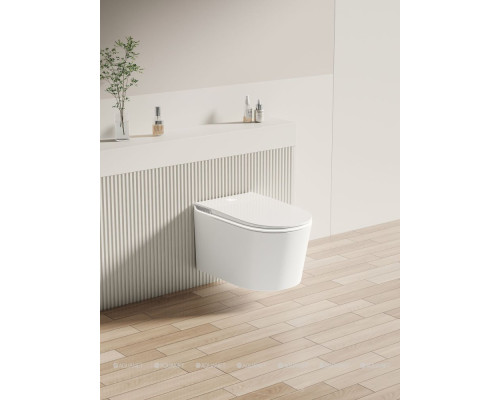 Унитаз подвесной Allen Brau Smart 4.I1001.20 белый, с функцией биде