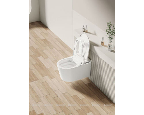 Унитаз подвесной Allen Brau Smart 4.I1001.20 белый, с функцией биде
