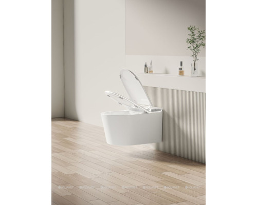 Унитаз подвесной Allen Brau Smart 4.I1001.20 белый, с функцией биде