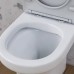 DX35C8600SC Унитаз-компакт безободковый, с сиденьем микролифт