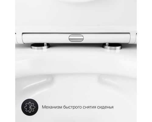 C741701SC Унитаз подвесной FlashClean с сиденьем микролифт C741701SC Унитаз подвесной FlashClean с сиденьем микролифт