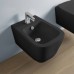Artceram A16 Биде подвесное 36х52 см, 1 отв., с переливом, в комплекте с крепежом, цвет: черный глянцевый. ASB001 03 00*1 акция