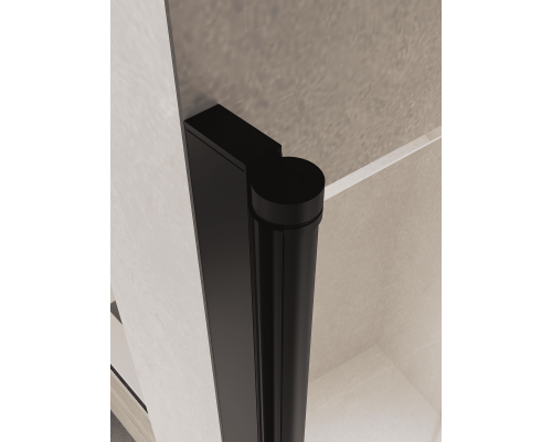 Душевая дверь RGW PA-104B 1000