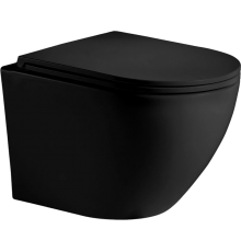 Унитаз подвесной Weltwasser WW Merzbach 043 MT-BL