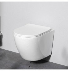 C801900SC Унитаз подвесной AquaSpin с сиденьем микролифт