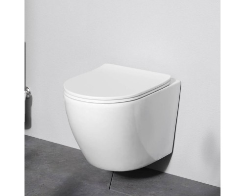 C801900SC Унитаз подвесной AquaSpin с сиденьем микролифт C801900SC Унитаз подвесной AquaSpin с сиденьем микролифт