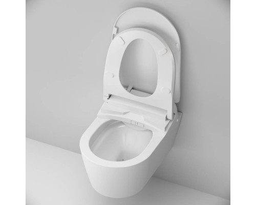 C8F1702SC Унитаз подвесной FlashClean c электронной крышкой-биде со скрытой подводкой C8F1702SC Унитаз подвесной FlashClean c электронной крышкой-биде со скрытой подводкой