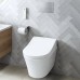 TOTO RG Унитаз 38x58x33.5см., подвесной, безободковый, с сиденьем Washlet RG Lite, цвет: белый глянцевый. CW553EY, TCF34170GEU