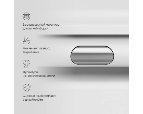 C8F1701MWSC Унитаз подвесной FlashClean с сиденьем микролифт, матовый C8F1701MWSC Унитаз подвесной FlashClean с сиденьем микролифт, матовый