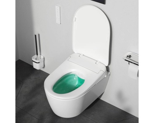 C8F1702SC Унитаз подвесной FlashClean c электронной крышкой-биде со скрытой подводкой C8F1702SC Унитаз подвесной FlashClean c электронной крышкой-биде со скрытой подводкой
