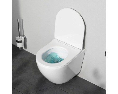 C801900SC Унитаз подвесной AquaSpin с сиденьем микролифт C801900SC Унитаз подвесной AquaSpin с сиденьем микролифт