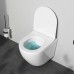 C801900SC Унитаз подвесной AquaSpin с сиденьем микролифт